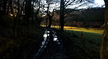 Pantadam-Valley-image-12