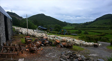 Pantadam-Valley-image-16