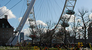 London Eye